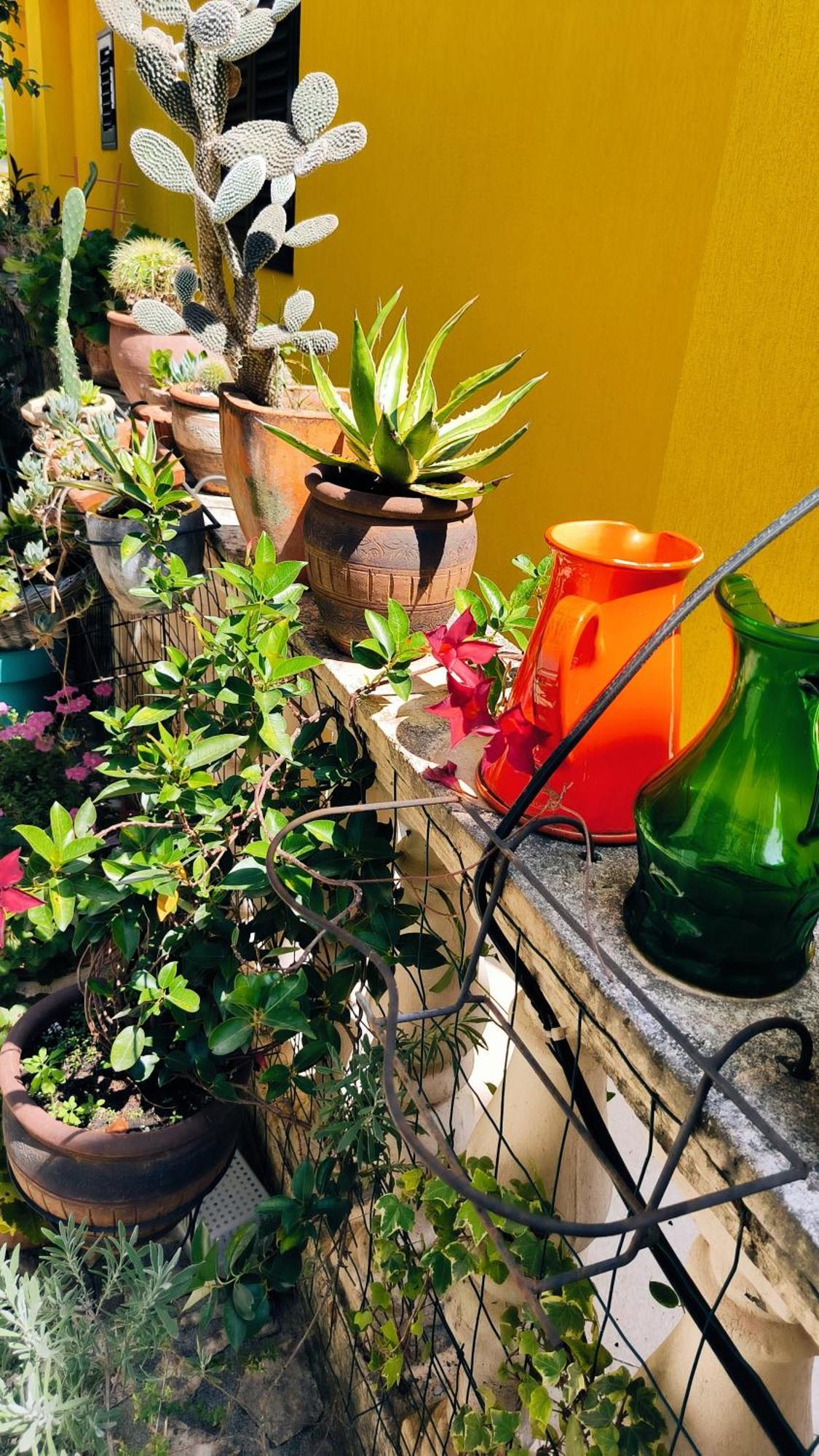 Apartament - Lisa Budva Luaran gambar
